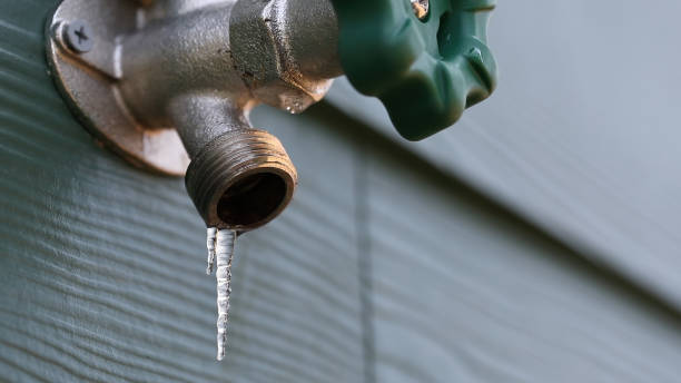 Best Shower Repair Services  in Lakeland Village, CA