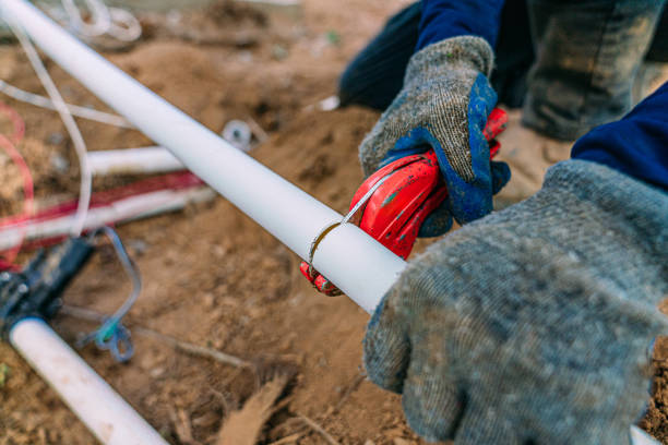 Best Clogged Drain Plumber  in Lakeland Village, CA